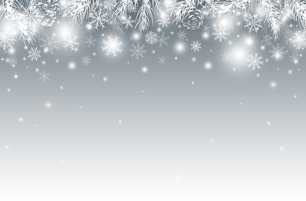 Fondo de Navidad de hojas de pino en el invierno