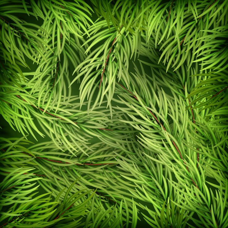 Vector fondo de navidad de ramas de abeto.
