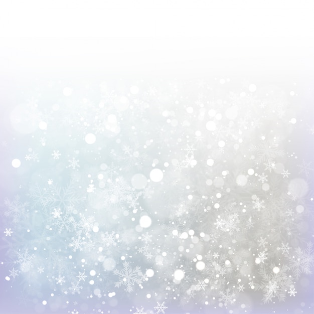 Fondo nevado