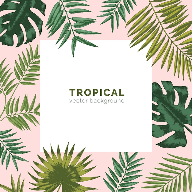 Fondo o superficie tropical