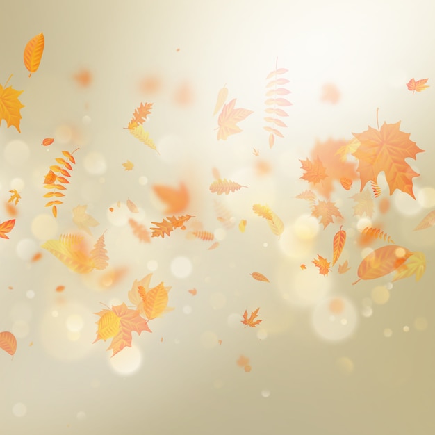 Fondo de oro otoño bokeh con hojas de otoño de arce.