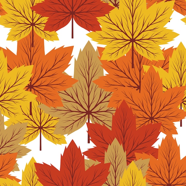 Fondo de otoño hoja de arce sin patrón