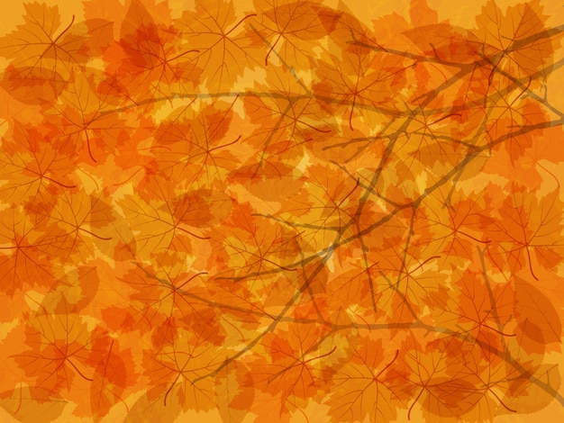 Fondo de otoño con hojas caídas y ramas.