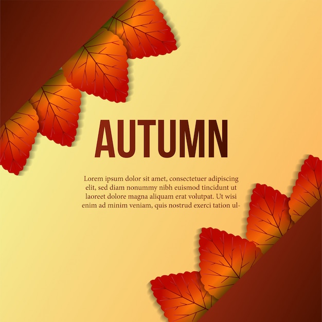 Vector fondo de otoño con hojas caídas