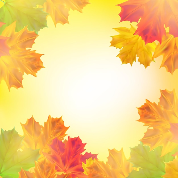 Fondo de otoño con hojas Hojas de arce realista con luz solar para anuncio de banner de cartel