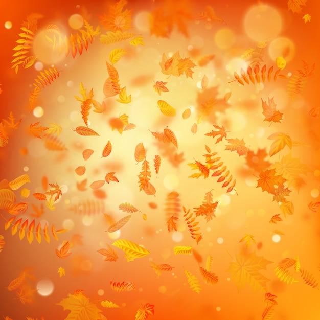 Vector fondo de otoño con hojas naturales y luz solar brillante.