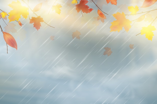 Fondo de otoño de naturaleza con caída de hojas de arce rojo, amarillo, naranja, marrón en el cielo.