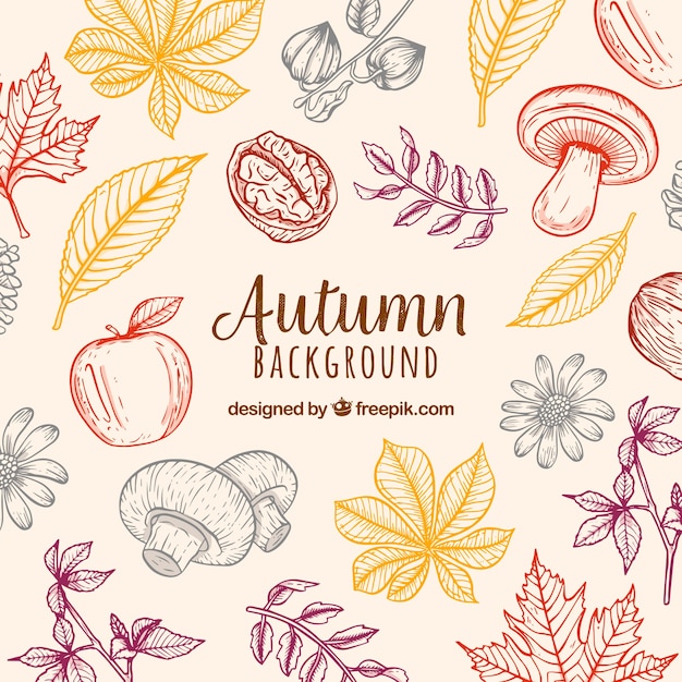 Fondo de otoño con naturaleza