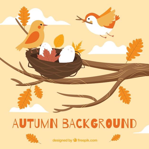 Vector fondo de otoño con pájaros