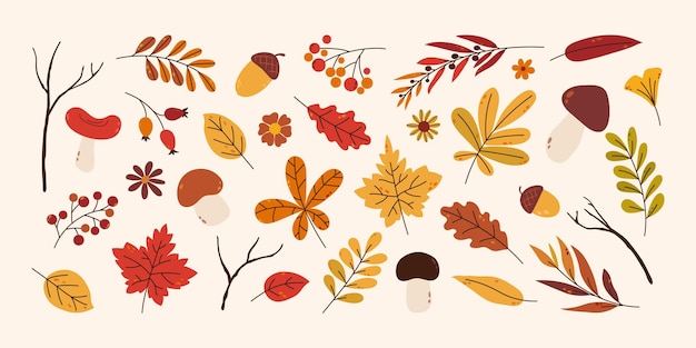 Fondo de otoño con varias hojas, bayas, ramas y setas minimalistas dibujadas a mano en estilo plano