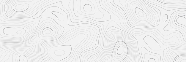 Fondo de paisaje en blanco y negro con diseño de mapa de topografía ondulada Grilla de contorno de mapa de línea curva