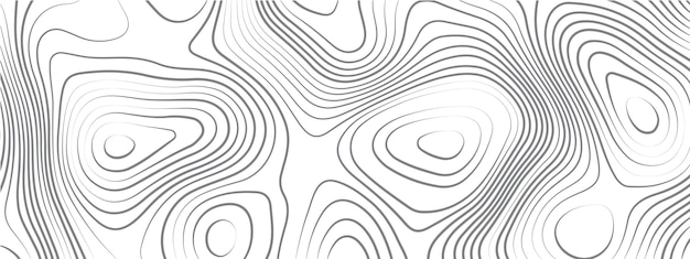 Fondo de paisaje en blanco y negro con diseño de mapa de topografía ondulada Grilla de contorno de mapa de línea curva
