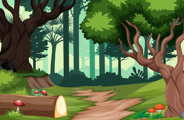 Fondo de paisaje de bosque de naturaleza