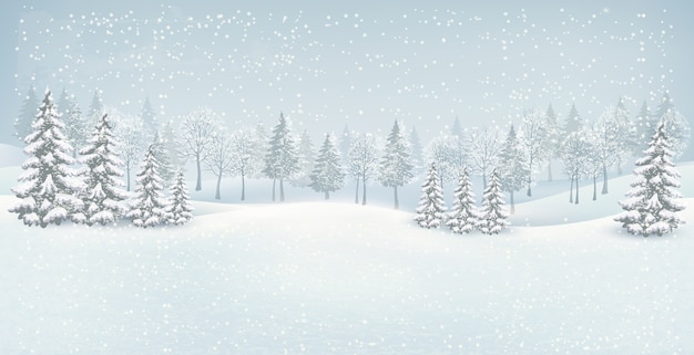 Fondo de paisaje de invierno navideño