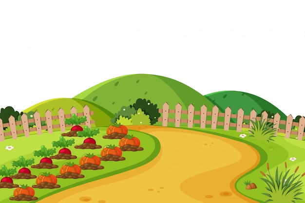 Vector fondo de paisaje con verduras en tierras de cultivo