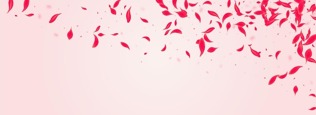 Fondo panorámico rosa vector flor carmín