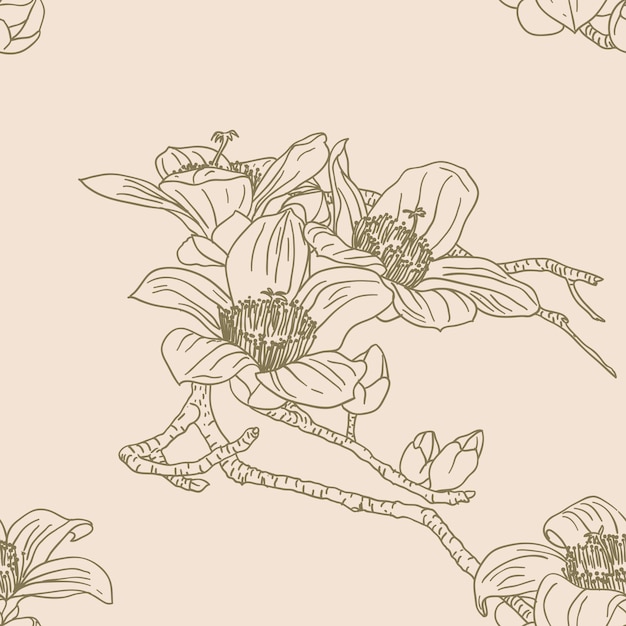 Fondo de pantalla transparente con flores de orquídeas