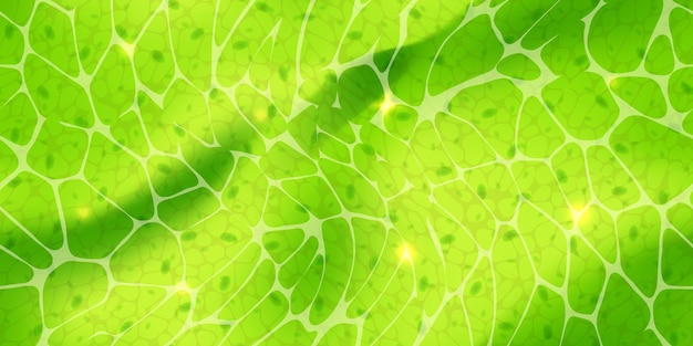 Vector fondo de pantalla verde abstracto o células vegetales con textura nuclear bajo un patrón sin fisuras de microscopio