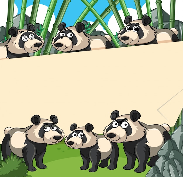 Vector fondo de papel con panda en el bosque de bambú