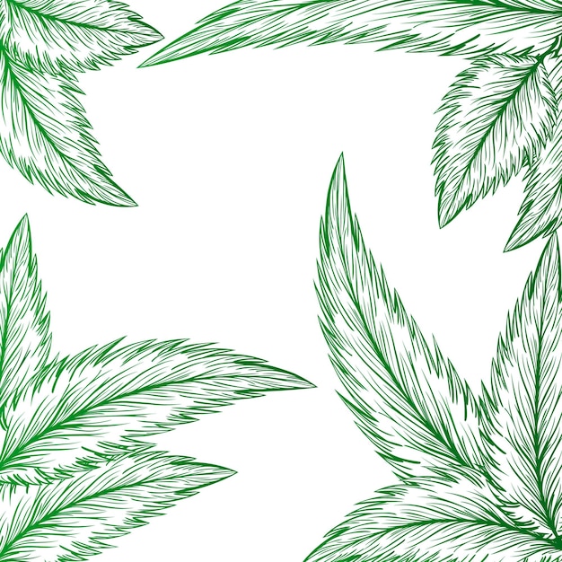 El fondo del patrón de la naturaleza de la hoja verde