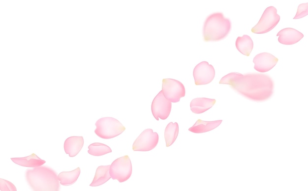 Fondo de pétalos de sakura voladores de flor de cerezo