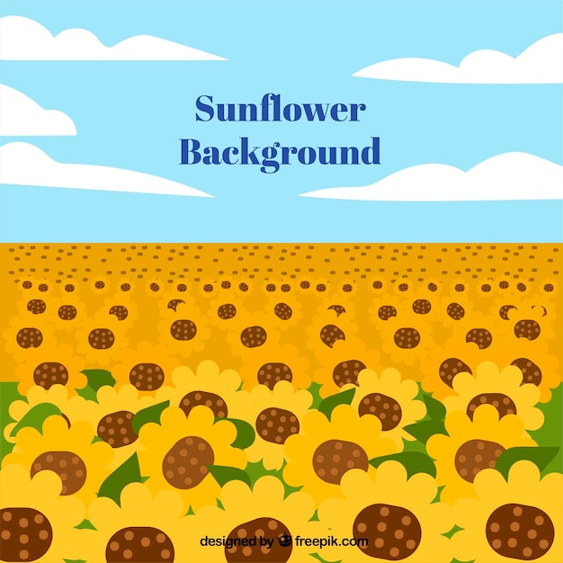 Fondo plano con girasoles