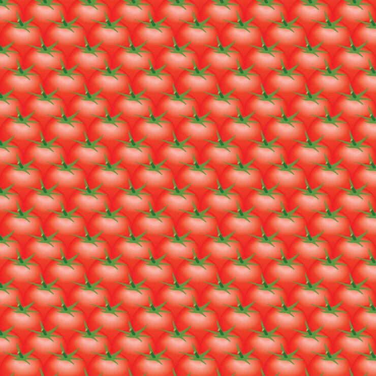 El fondo plano del tomate en la vista superior