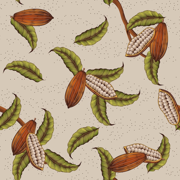 Fondo de planta de cacao clásico en estilo grabado