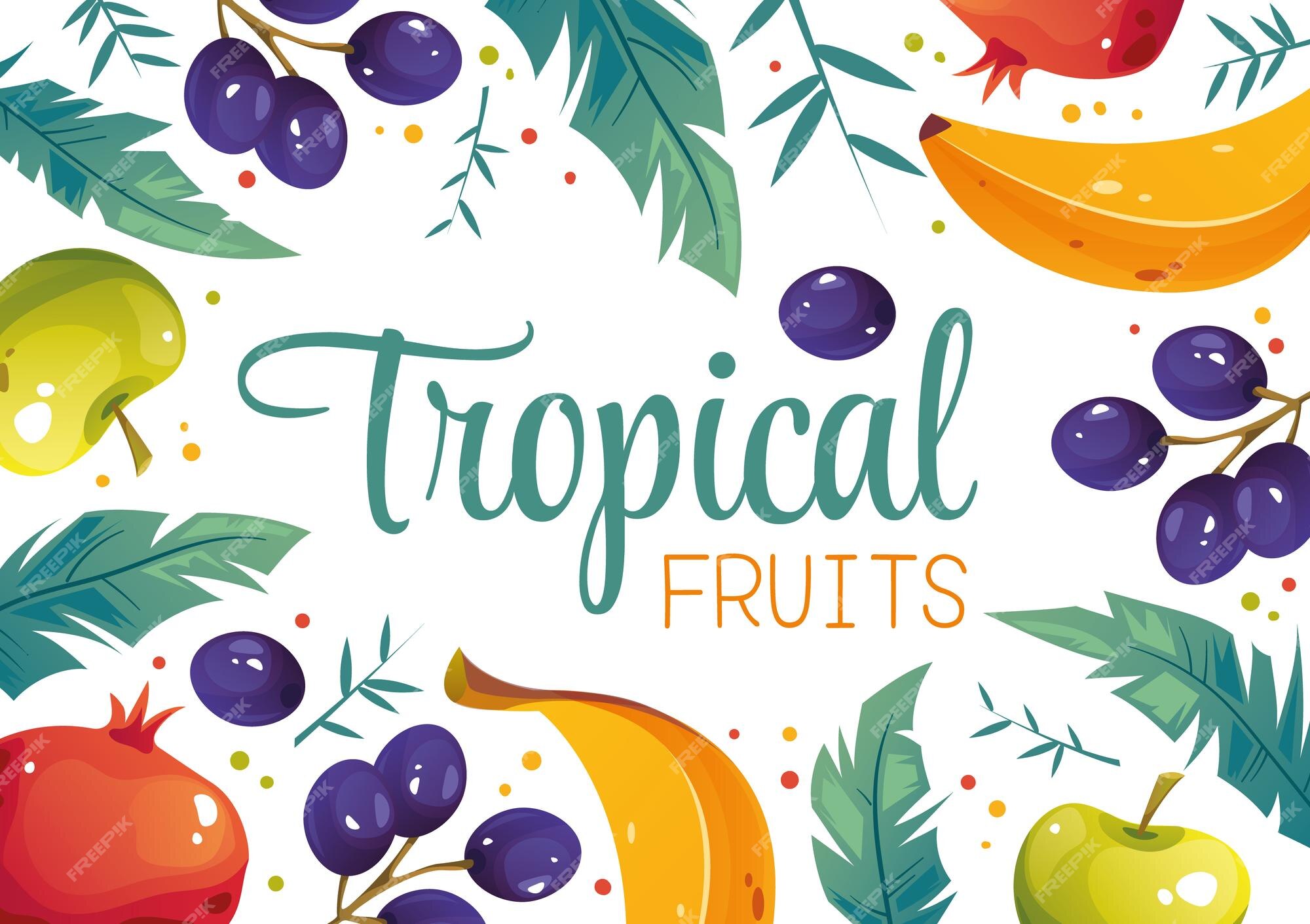 Fondo de portada de cartel de banner de frutas tropicales con concepto de  lugar de texto | Vector Premium