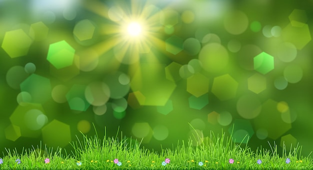 Vector fondo de primavera en colores verdes con cielo sol hierba y flores