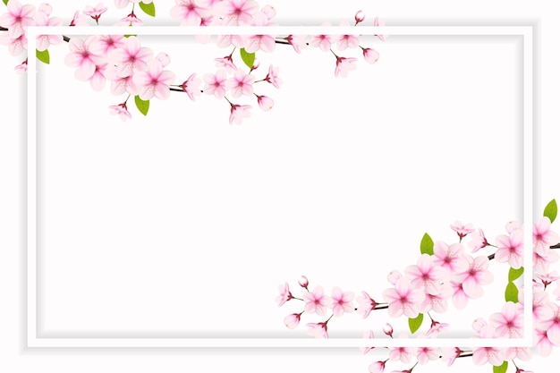 Fondo de primavera de flor de cerezo con lugar para texto Ilustración vectorial