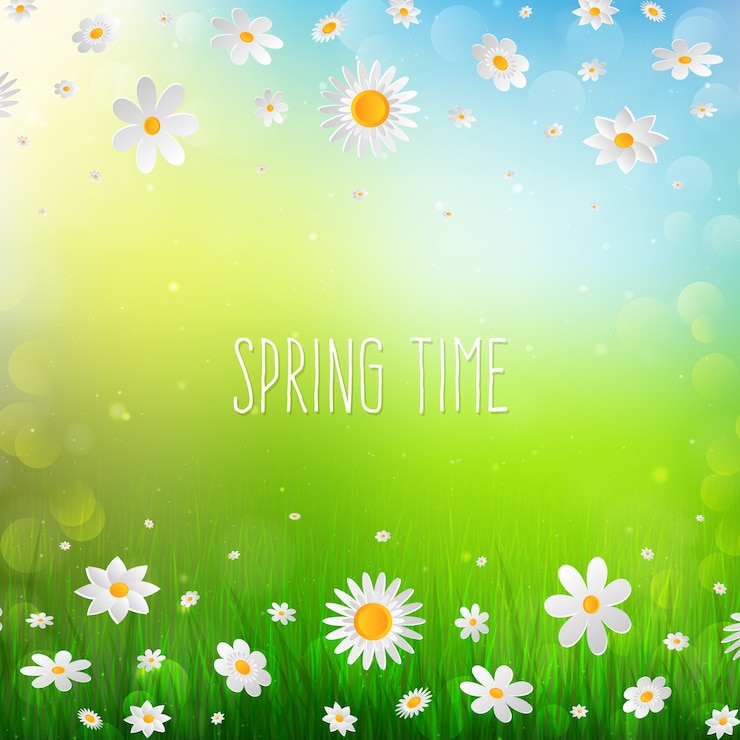 Vector fondo de primavera con flores blancas en la hierba