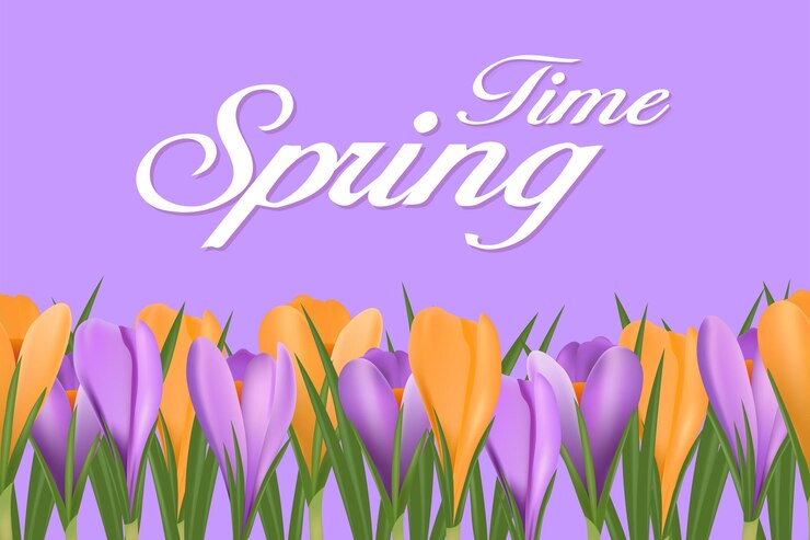 Vector fondo de primavera con flores de primavera florecientes azafranes ilustración vectorial
