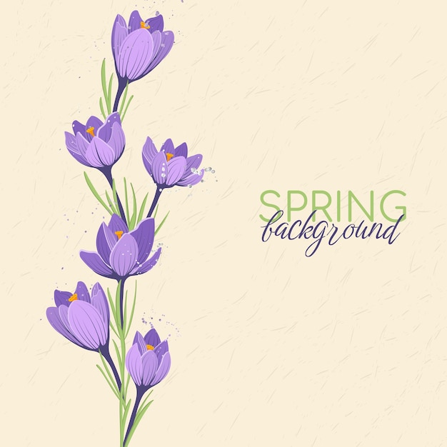 Fondo de primavera con lugar para texto con crocus plantilla para tarjetas de felicitación de redes sociales