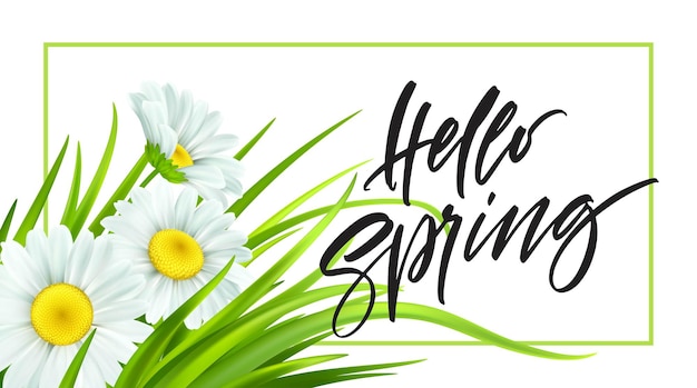 Fondo de primavera con margaritas y hierba verde fresca. Hola primavera letras de escritura a mano. ilustración