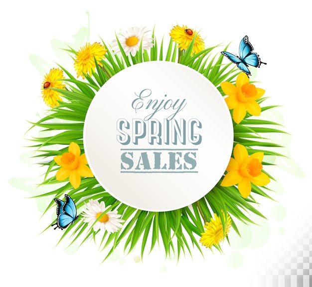 Fondo de primavera de naturaleza con narcisos, margaritas y mariposas. Vector.