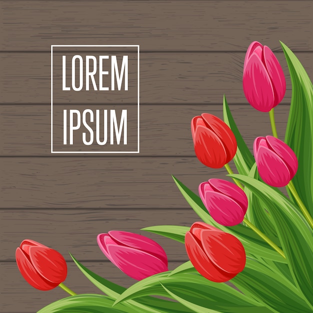 Fondo de primavera con tulipán floreciente