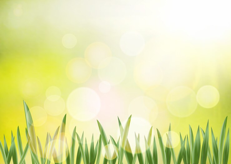 Vector fondo de primavera.