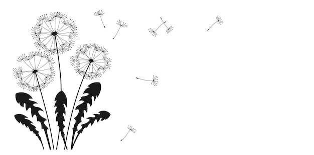 Fondo de publicidad de plantilla de diseño de forma de banner de silueta de tinta de semillas voladoras de diente de león