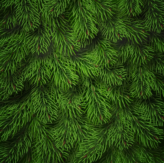 Vector fondo de ramas de árbol de navidad realista