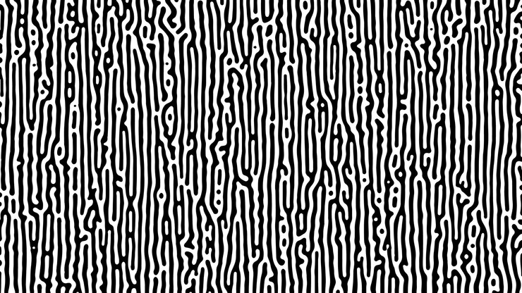 Vector fondo de reacción de turing monocromo. patrón de difusión abstracto con formas caóticas. ilustración vectorial.