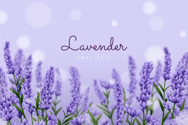 El fondo realista de lavanda