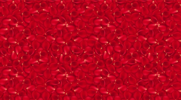 Fondo rojo de pétalos de rosa. vector wallpaper tarjeta de pétalos de rosa roja. vector pétalos de rosa