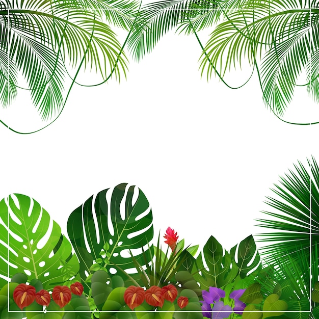 Fondo de la selva tropical