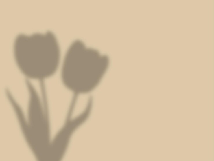 fondo de sombra de hoja