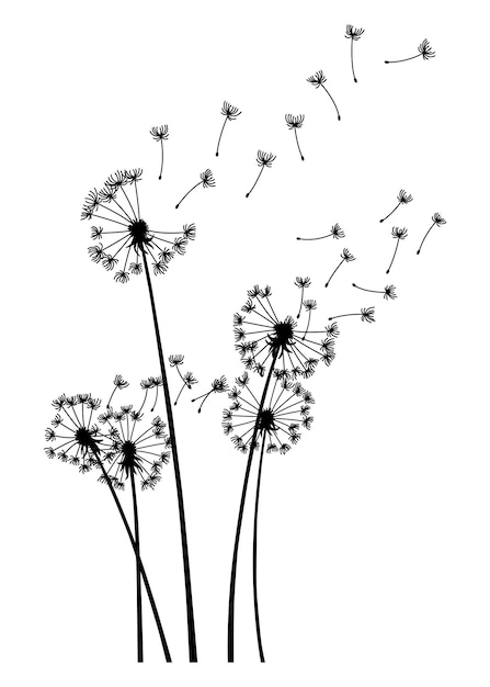 Fondo de soplo de viento de diente de león Silueta negra con brotes de diente de león voladores en blanco Semillas de diente de león de golpe volador abstracto Gráficos decorativos para imprimir Diseño de escena floral