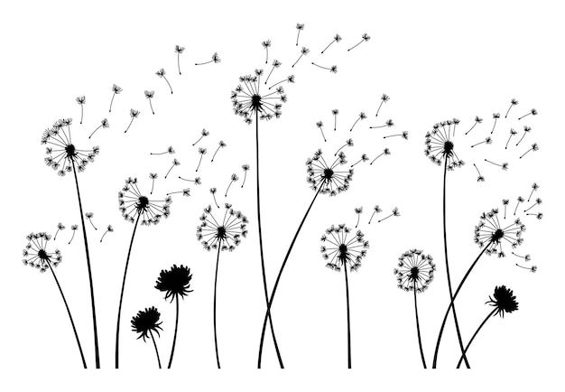Fondo de soplo de viento de diente de león Silueta negra con capullos de diente de león voladores en blanco Semillas voladoras abstractas Gráficos decorativos para imprimir Diseño de escena floral
