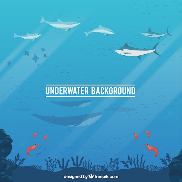 Fondo submarino con caricaturas de animales acuáticos