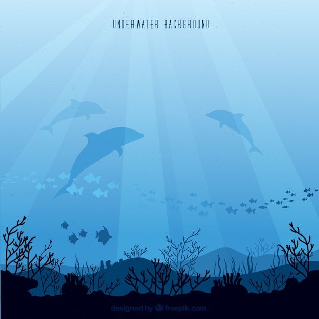 Fondo submarino con diferentes especies marinas