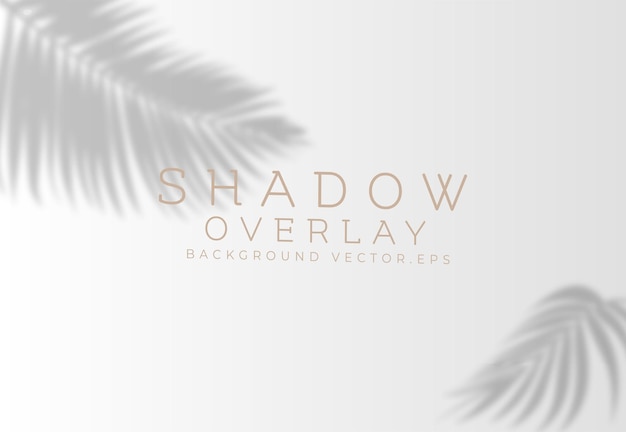 Vector fondo de superposición de sombra con sombra de hoja de coco